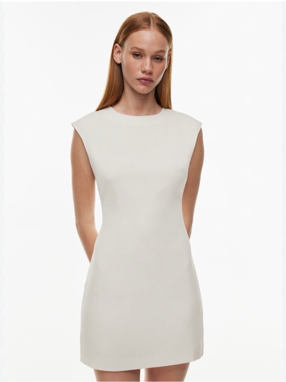 Aritzia Auction Dress